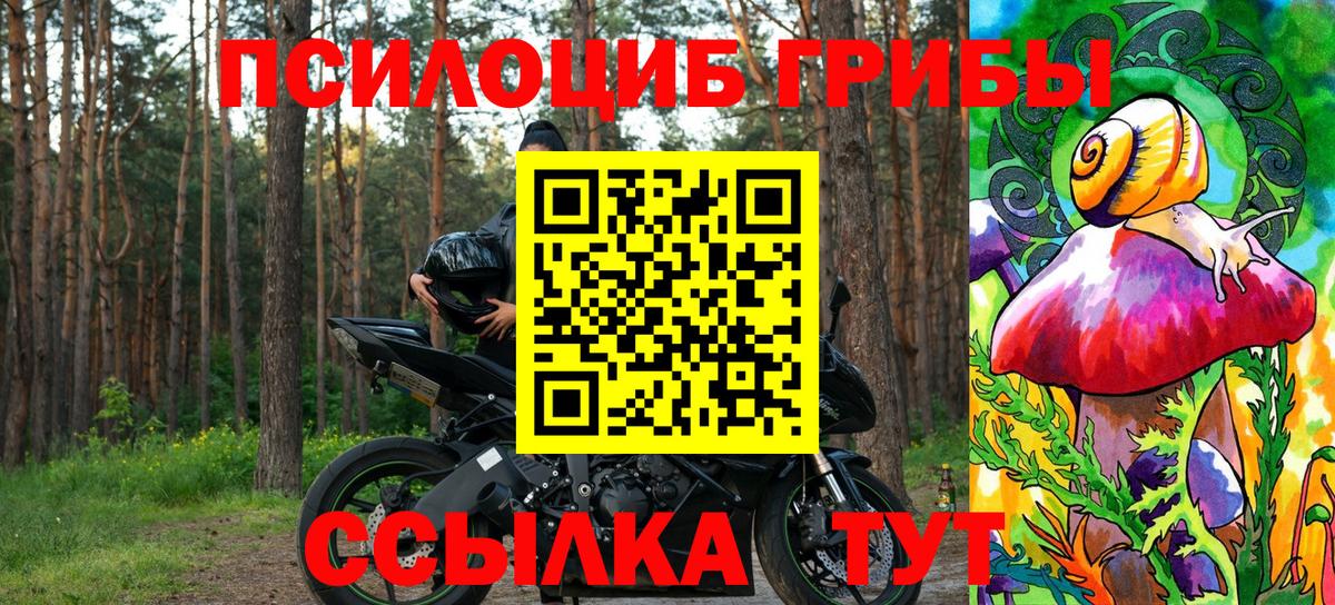 Новотроицк  Псилоцибиновые грибы MAGIC MUSHROOMS  Вход с VPN 